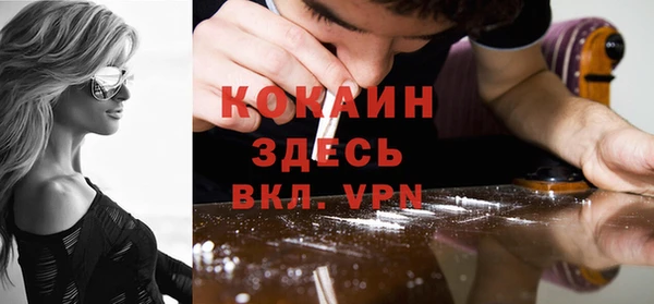 гашик Инта