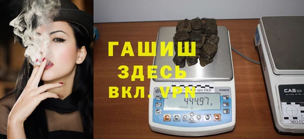 гашик Каменка