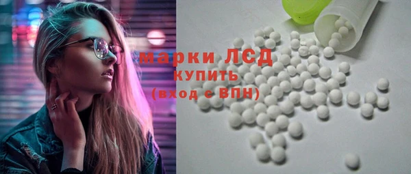 гашик Инта
