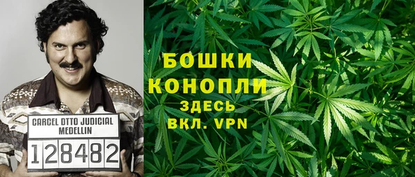 гашик Инта