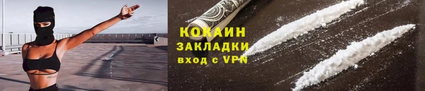 гашик Каменка