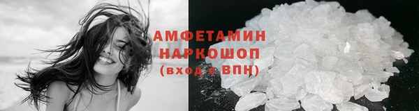 гашик Инта