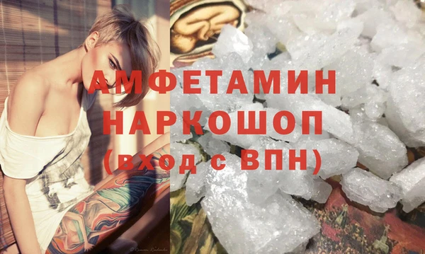 гашик Каменка