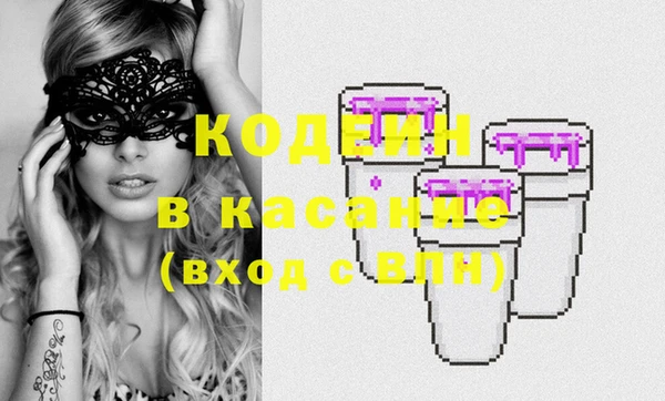 гашик Каменка