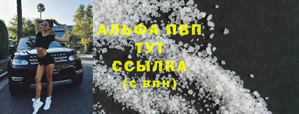 гашик Каменка