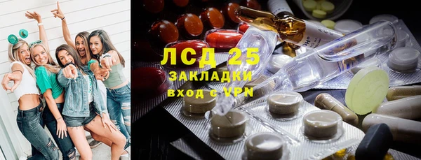 гашик Инта