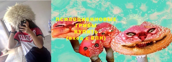 apvp Каменногорск