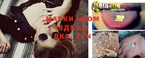 apvp Каменногорск