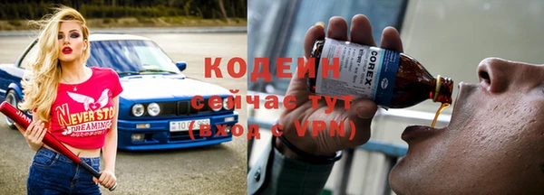 гашик Инта