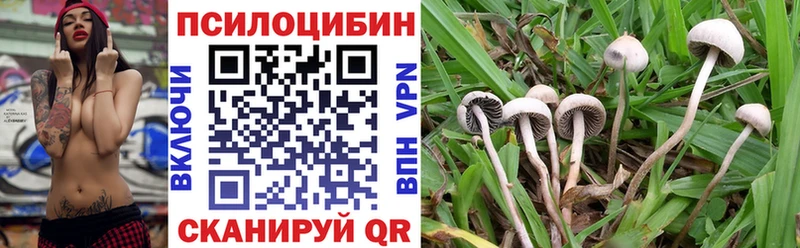 где купить наркотик darknet как зайти Псилоцибиновые грибы Magic Shrooms Королёв