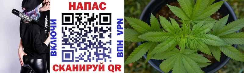 закладка  Королёв  Бошки Шишки Bruce Banner 